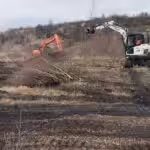 Leveraging Excavators as Cranes: A Modern Approach to Tree Removal